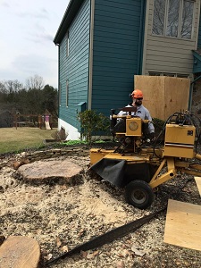stump grinding Chesterbook